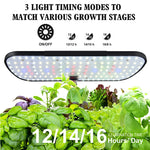 Jardinière jaune éclairée par la lampe LED dans une cuisine moderne