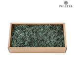 mousse séchée naturelle décorative fleurs séchées rustiques vert rose bleu violet maison intérieur