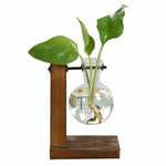 vase hydroponique vintage verre transparent plante table décoration bonsaï rond simple
