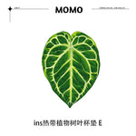coasters feuilles tropicales vert blanc rose moderne respectueux environnement set 4pcs 5pcs
