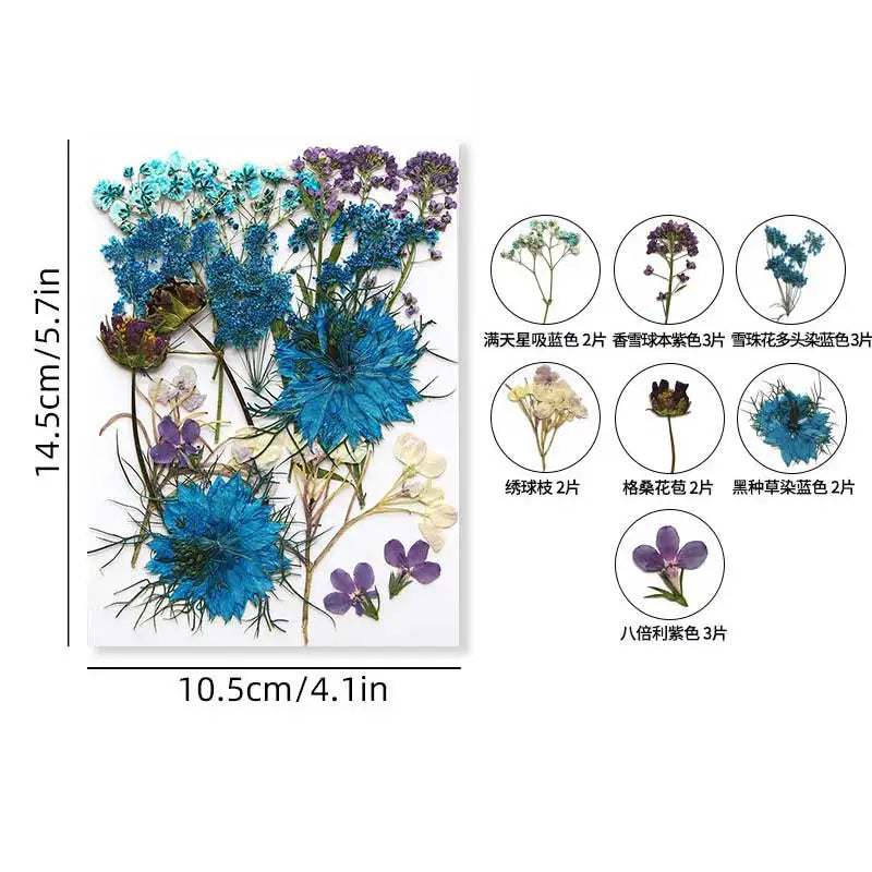 fleurs séchées violet bleu rose jaune naturelles décoration maison intérieur variés différents