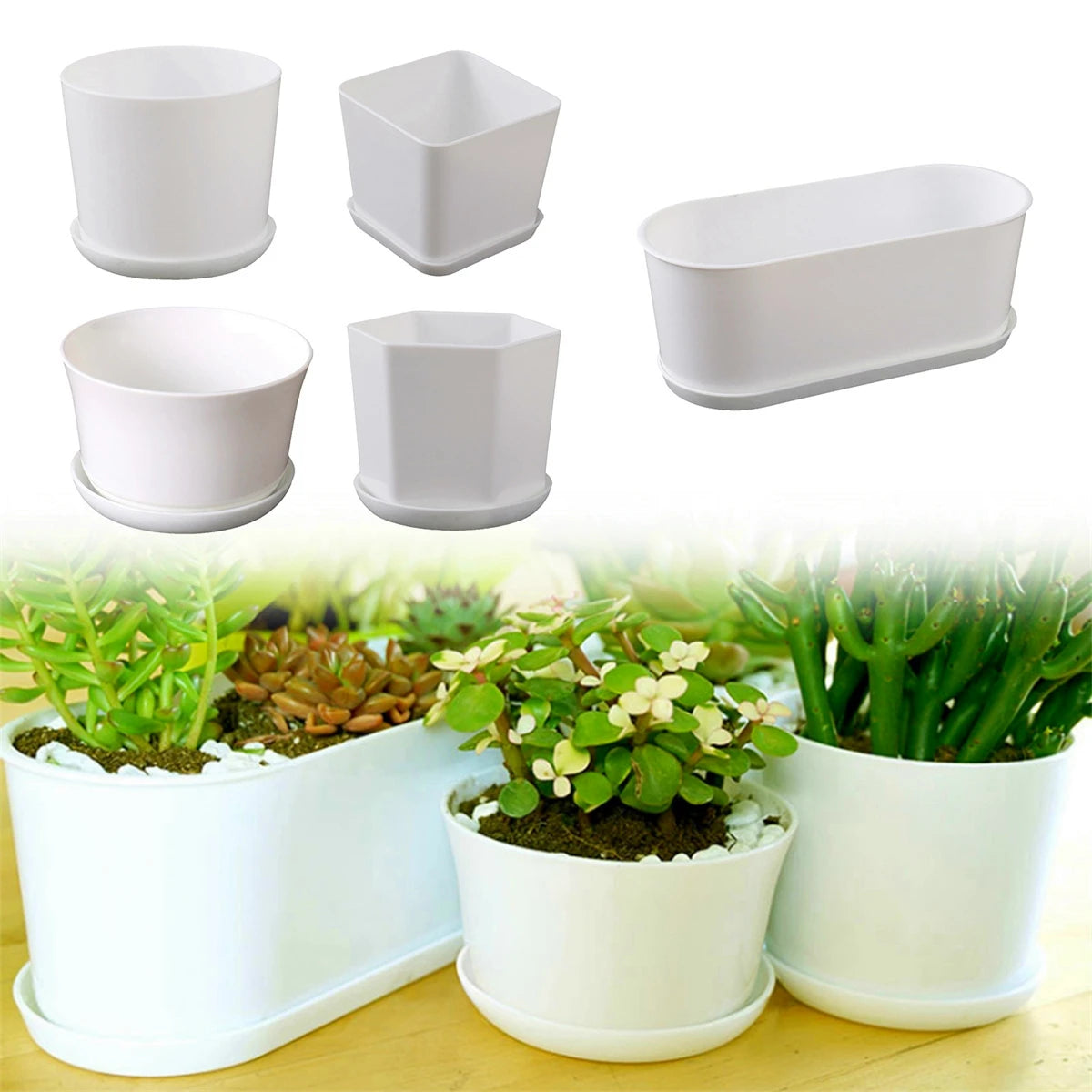 pots fleurs modernes blancs soucoupe plante verte intérieur extérieur hexagon rond polygonaux