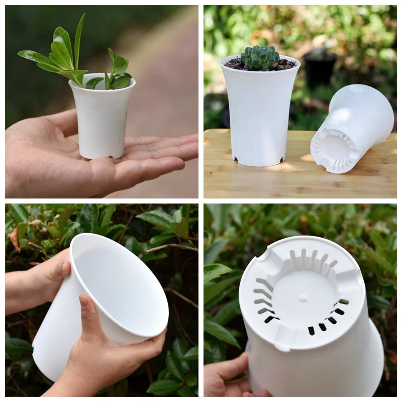 pot fleurs rond blanc plastique plante succulente décoration jardin maison
