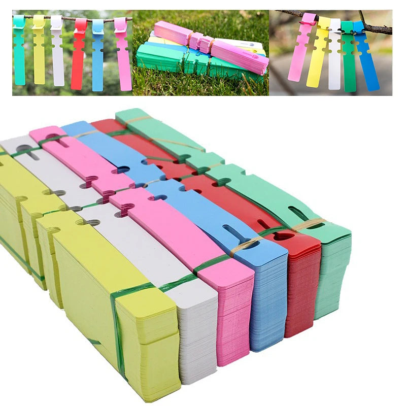 étiquettes plantes rectangulaires pvc bleu blanc rose vert rouge jaune modernes jardinage pratique