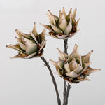 fleurs artificielles protea king violet vert blanc rouge decoration mariage anniversaire intérieur naturel
