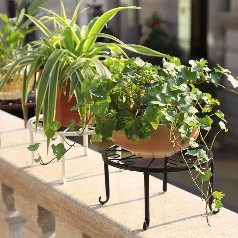 support plante métal blanc noir floral moderne élégant grille dimensions