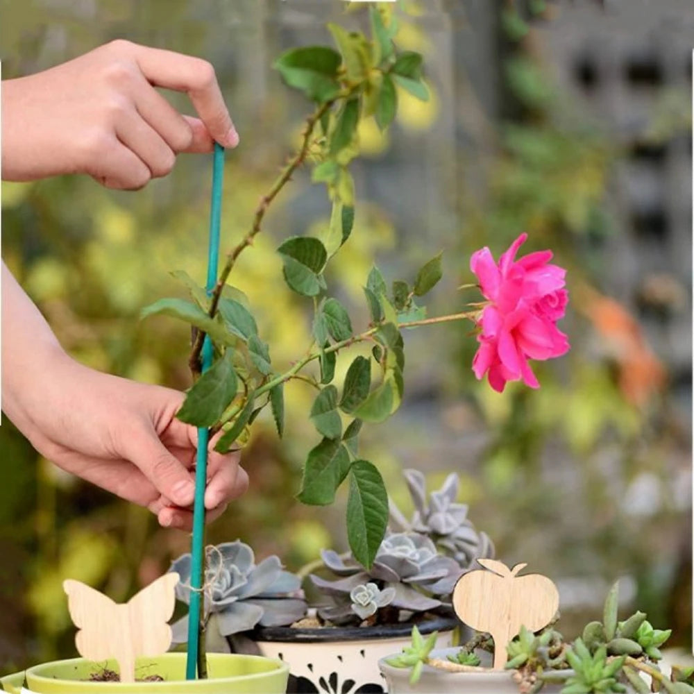 supports plante bambou vert lisse 40cm jardinage utilitaire insertion sol