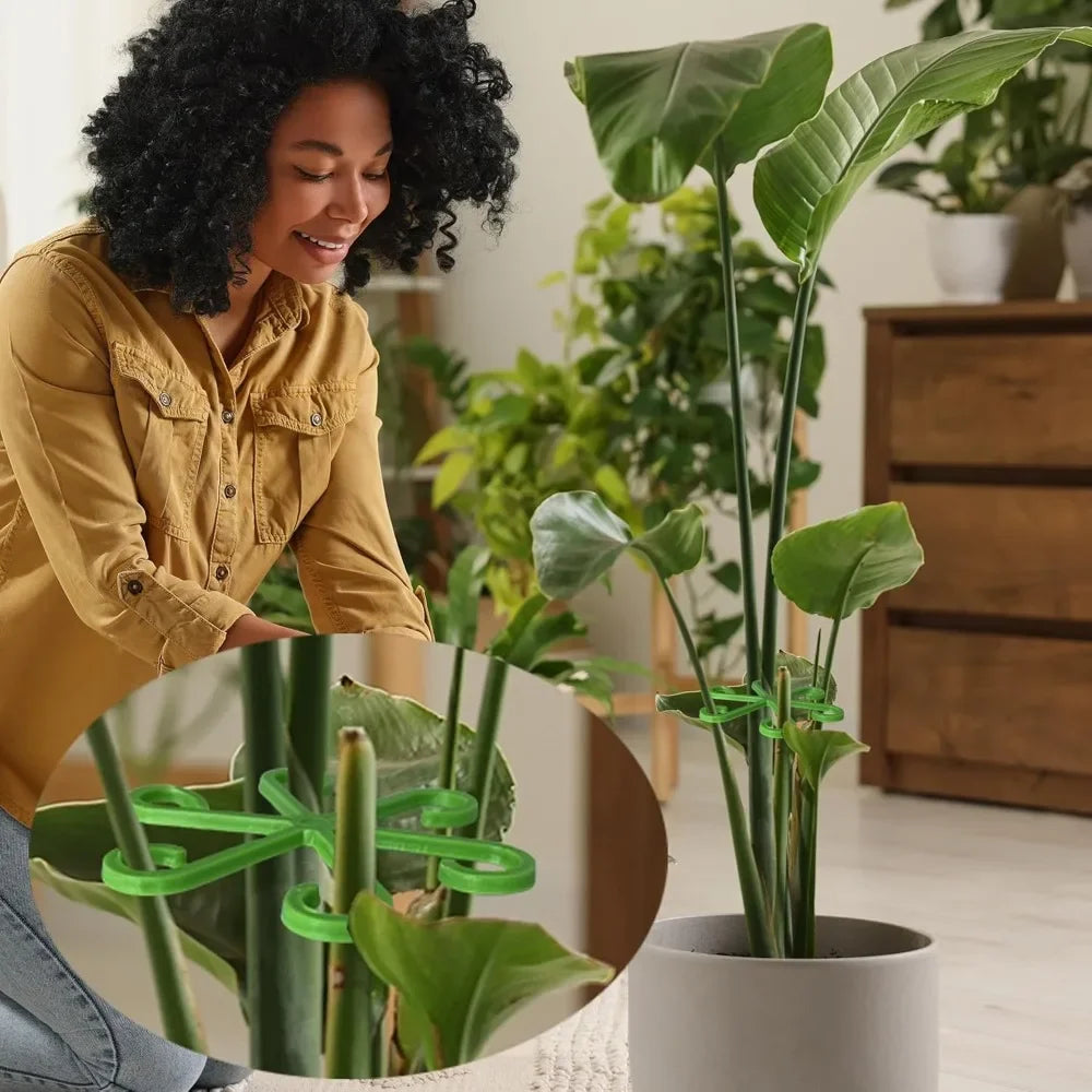 Supports plante intérieure floral moderne vert fixations tailles différentes 20 pièces