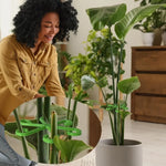 Supports plante intérieure floral moderne vert fixations tailles différentes 20 pièces