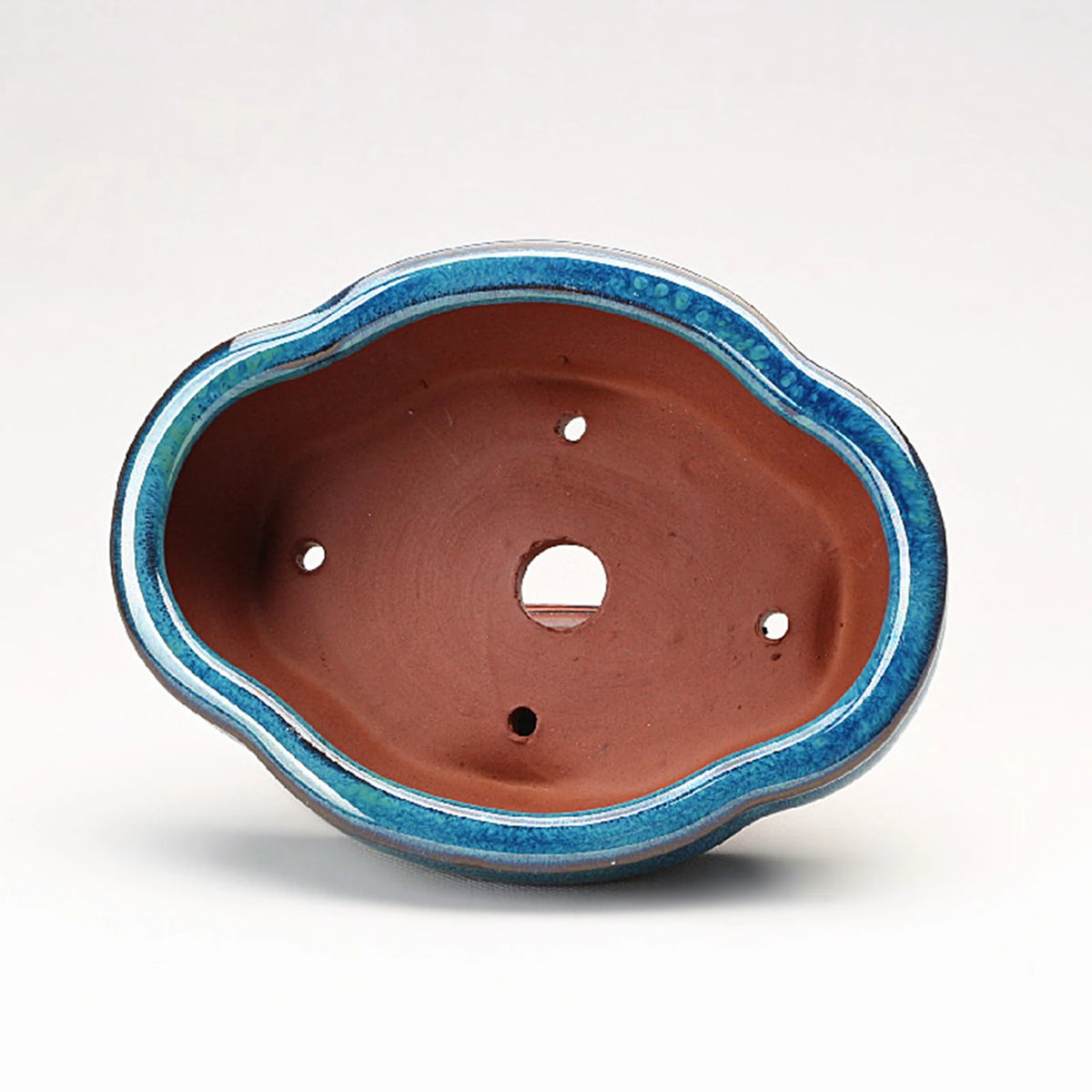 cache pot céramique bleu translucide classique plante verte décoration maison