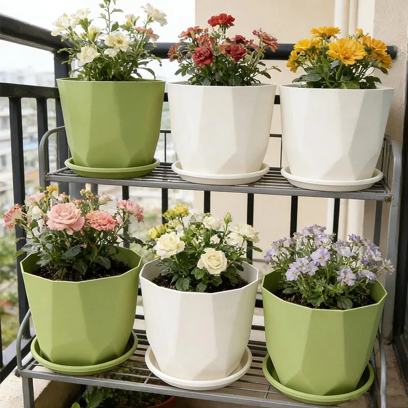 pots fleurs absorption eau succulentes intérieur décoration maison vert blanc moderne
