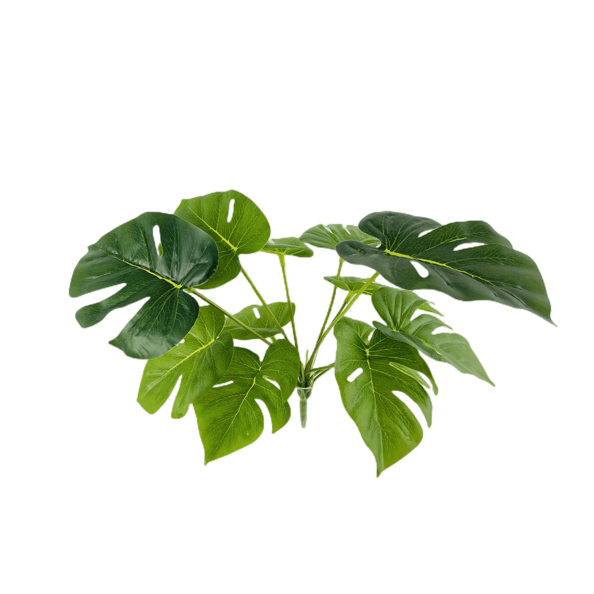 plante artificielle décorative feuilles vertes blanches rouges salon maison moderne naturel