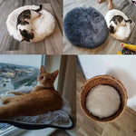 coussin rond velours multicolore moderne confortable 40cm 50cm 60cm chat lit animal compagnie