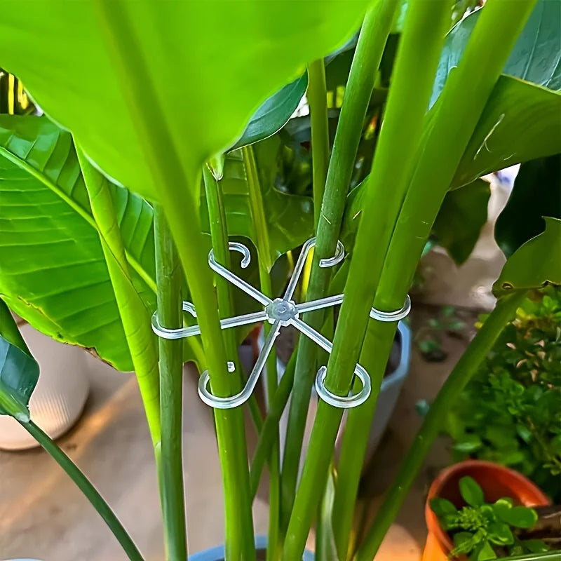 supports plantes étoile vert clips réglables moderne jardin pot fleur