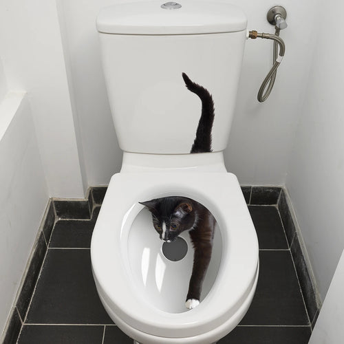 autocollants muraux toilette chat noir décoration salle bains pvc moderne adhésif unique blanc