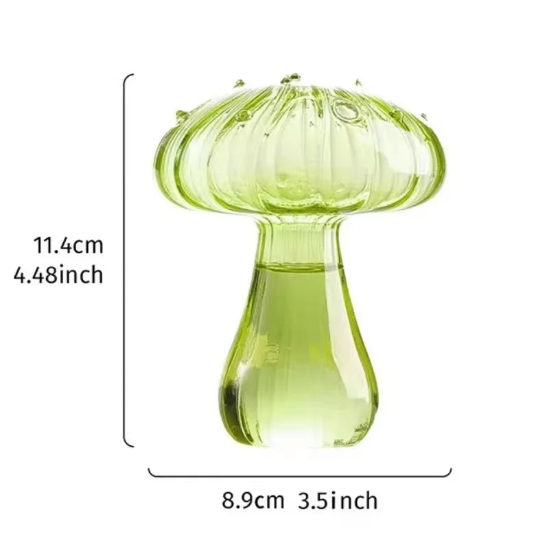 vase moderne transparent champignons colorés orange rouge bleu vert reflets