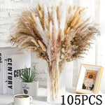 bouquet fleurs séchées pampas naturelles décoration maison anniversaire mariage rouges rustiques