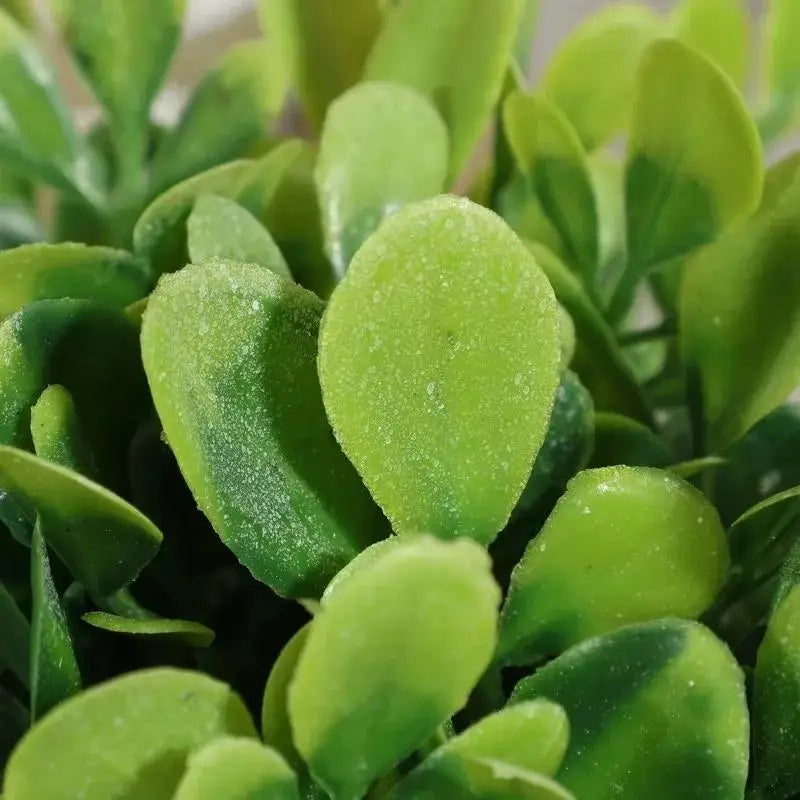 décoration intérieure plante artificielle pot osier feuilles vertes modernes salon