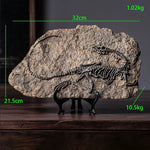 squelette dinosaure résine décor maison salle gris marron clair os roche tringle noire réaliste