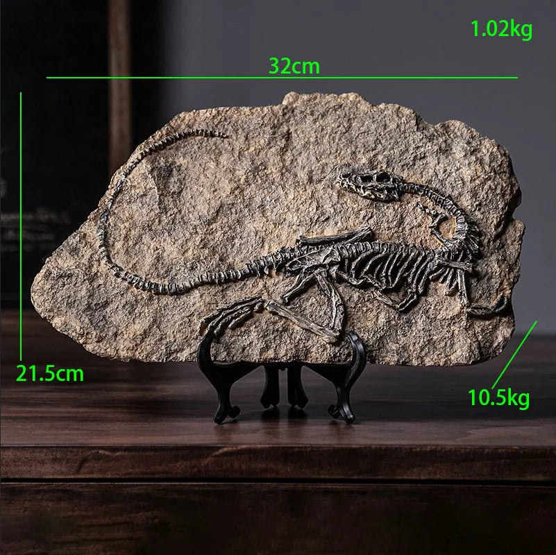 squelette dinosaure résine décor maison salle gris marron clair os roche tringle noire réaliste