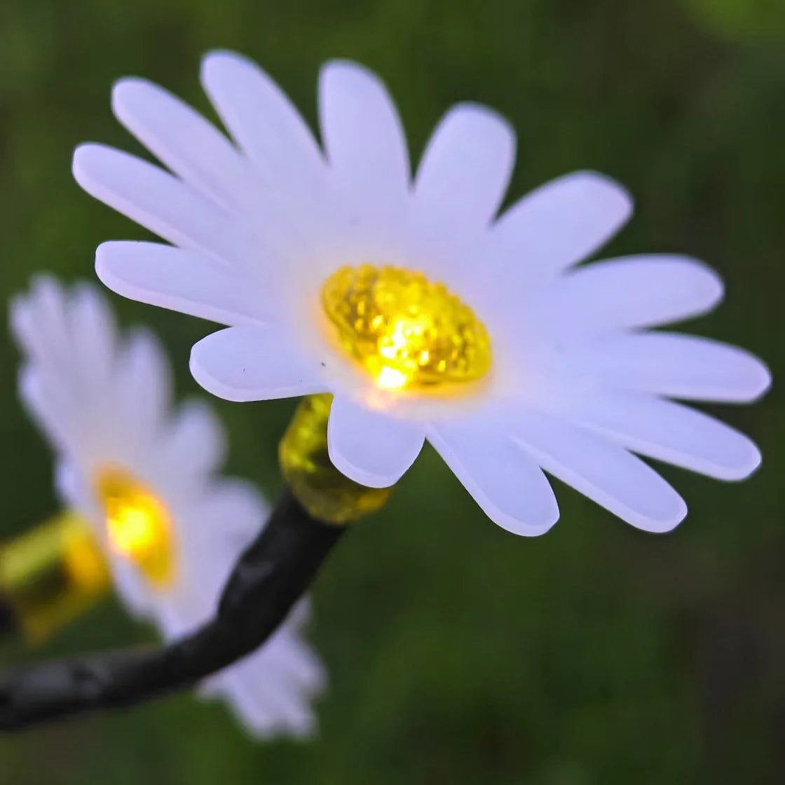 lumière solaire fleur marguerite blanche jaune petals centre lumineux moderne extérieur jardin clips tiges