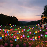 éclairage paysager solaire led moderne boules lumineuses colorées branches métalliques fixation tige terreextérieur nocturne