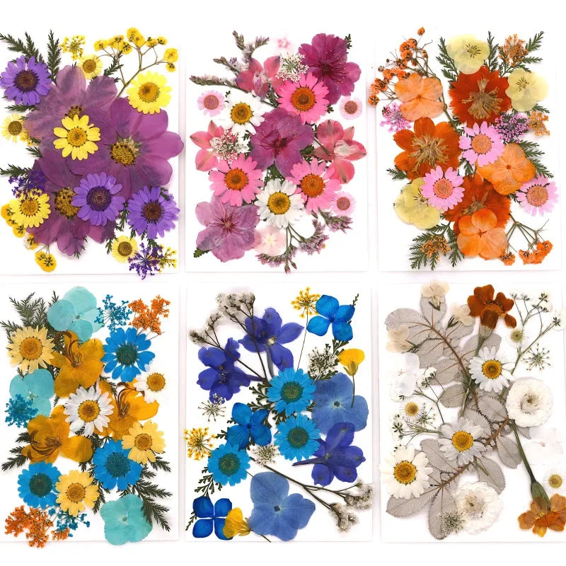 fleurs séchées naturelles assortiment couleurs décoration artisanat scrapbooking nail art