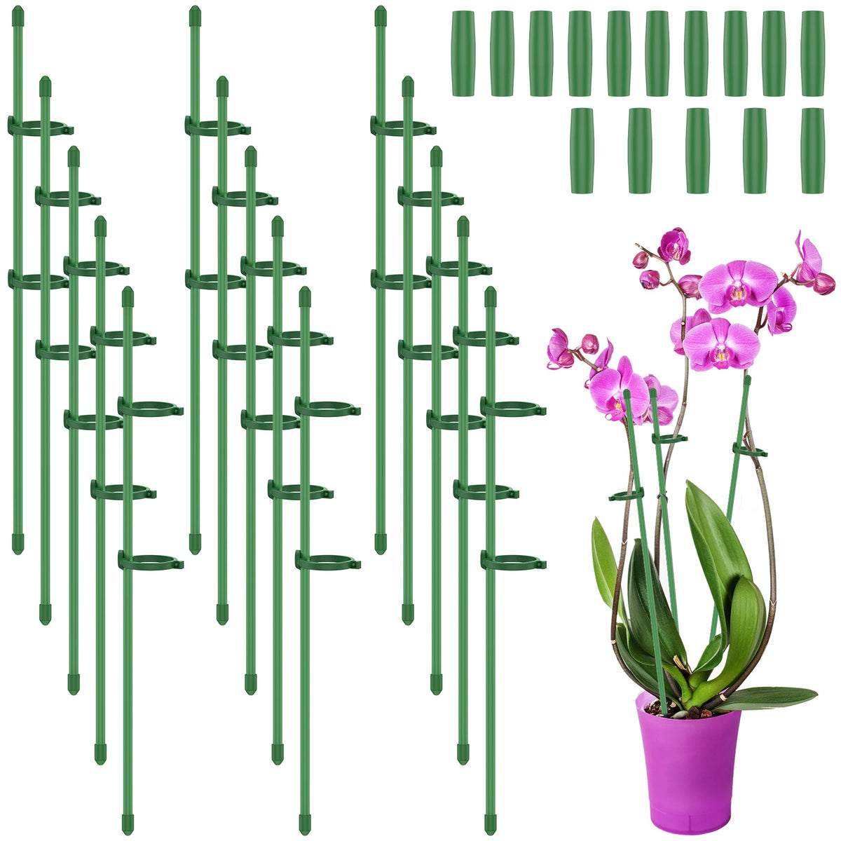 supports plantes vert ajustables moderne boucles élastiques connecteurs pliables protection fleurissance jardin intérieurextérieur