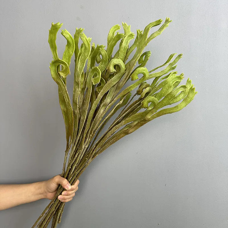 feuilles fougère séchées vertes décoration maison anniversaire arrangement floral vase intérieur naturel plastique