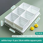 lot pot succulentes plastique blanc moderne trous drainage aération plantes maison