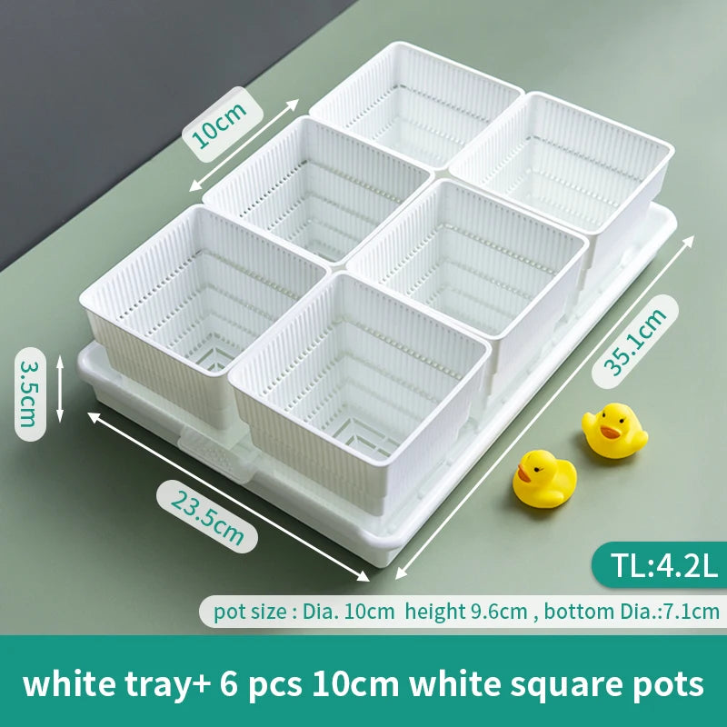 lot pot succulentes plastique blanc moderne trous drainage aération plantes maison