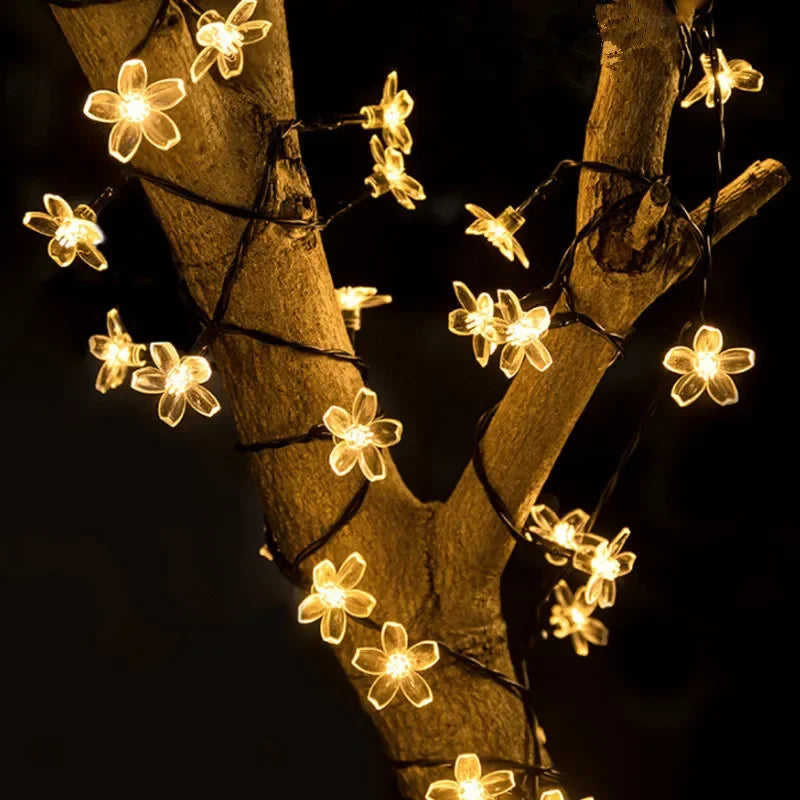 guirlande lumineuse solaire 5m fleurs simples violet blanc orange vert bleu jaune moderne clips