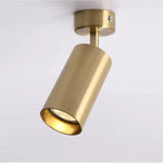 Spot orientable LED blanc noir doré minimaliste ampoule vis fixé