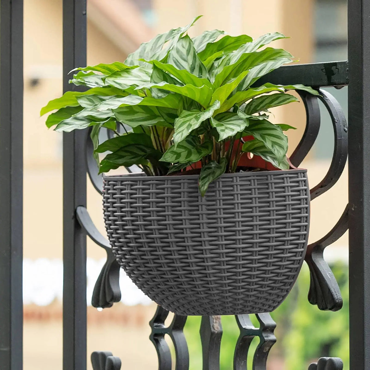 pot fleurs suspendu tressé marron rustique balcon maison extérieur plante verte grille métallique deux