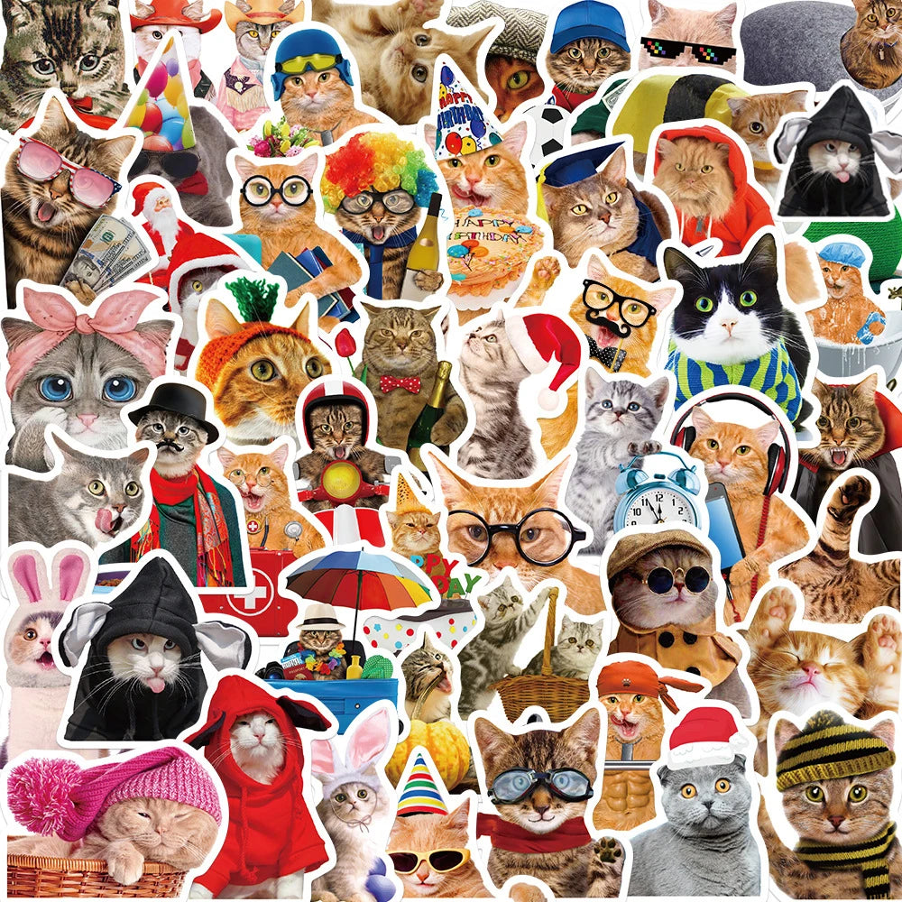 stickers animaux chats multicolores décalcomanies enfants humour adhésifs waterproof pvc instagram anime kpop