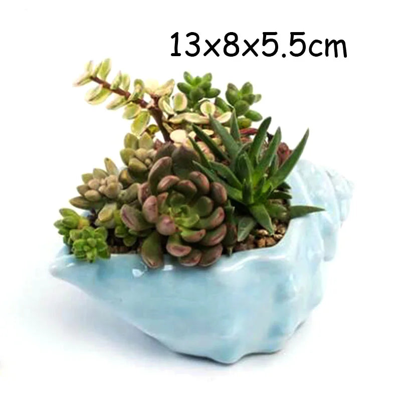 petit cache pot ceramique bleu motif poisson marin decoratif plante succulente maison