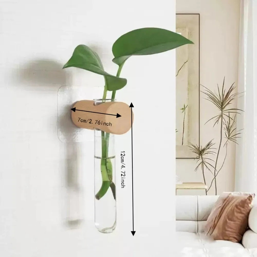 vase mural transparent minimaliste bois plante verte femmes
