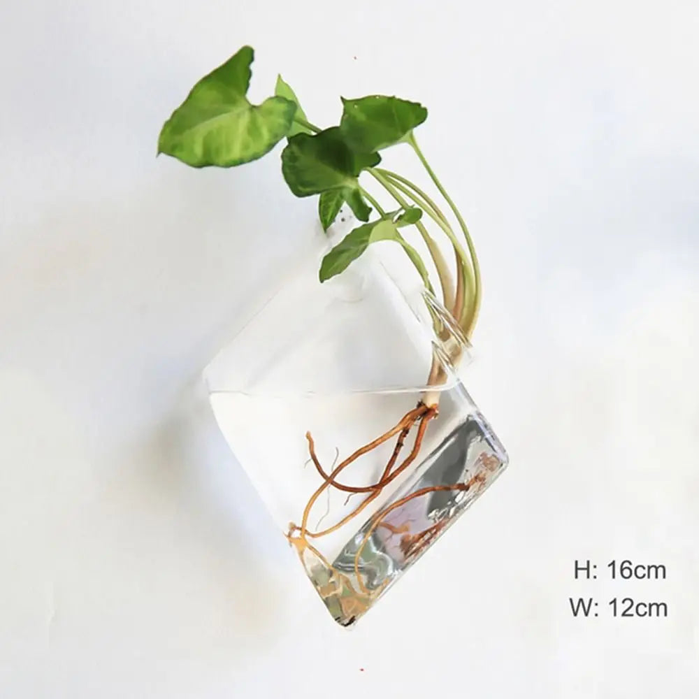 vase transparent moderne verre plante racines intérieur décoration hydroponique fleur