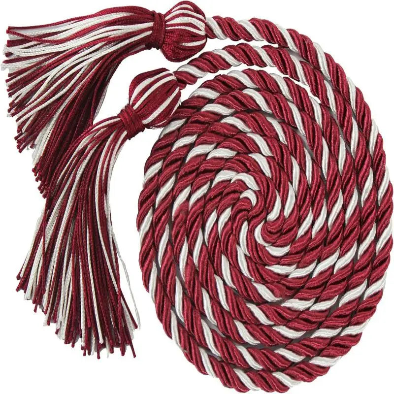 cordon d'honneur remise diplôme pompon boucle toge graduation