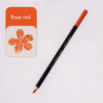 crayons sous glaçe 12 couleurs noires blanches bleues vertes orangées rouges marrons grises roses