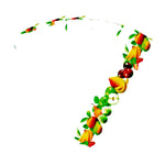 pièges mouches adhésifs fruits blanc guide utilisation pièces insectes fenêtres maison jardin simples
