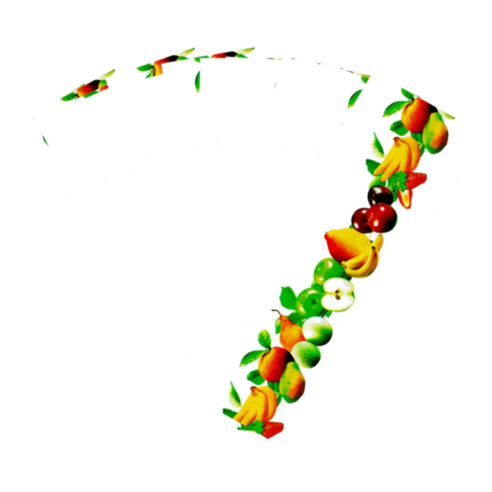 pièges mouches adhésifs fruits blanc guide utilisation pièces insectes fenêtres maison jardin simples
