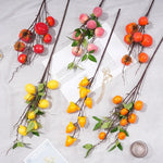 décoration intérieure branches fruits naturels pommes oranges citrons marrons festive maison anniversaire