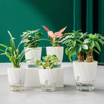 pots plante autoarrosants modernes blanc rose vert minimalistes grille tailles