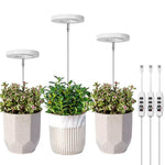 lampe led plante réglable télécommande support flexible hauteur ajustable base détachable modernes minimalistes