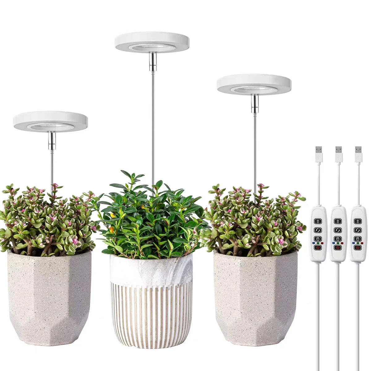 lampe led plante réglable télécommande support flexible hauteur ajustable base détachable modernes minimalistes