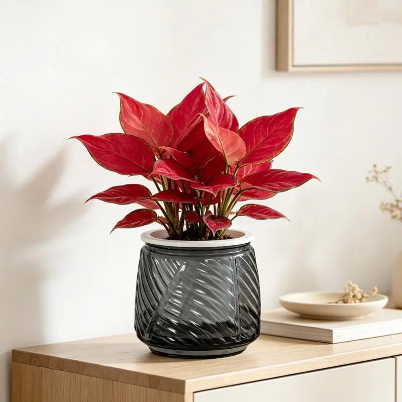 pots fleurs auto arrosants plantes vertes moderne geometrie feuilles ovales plastique blanc