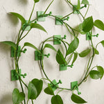 supports muraux auto adhésifs plantes grimpantes 100 pièces vert simples modernes