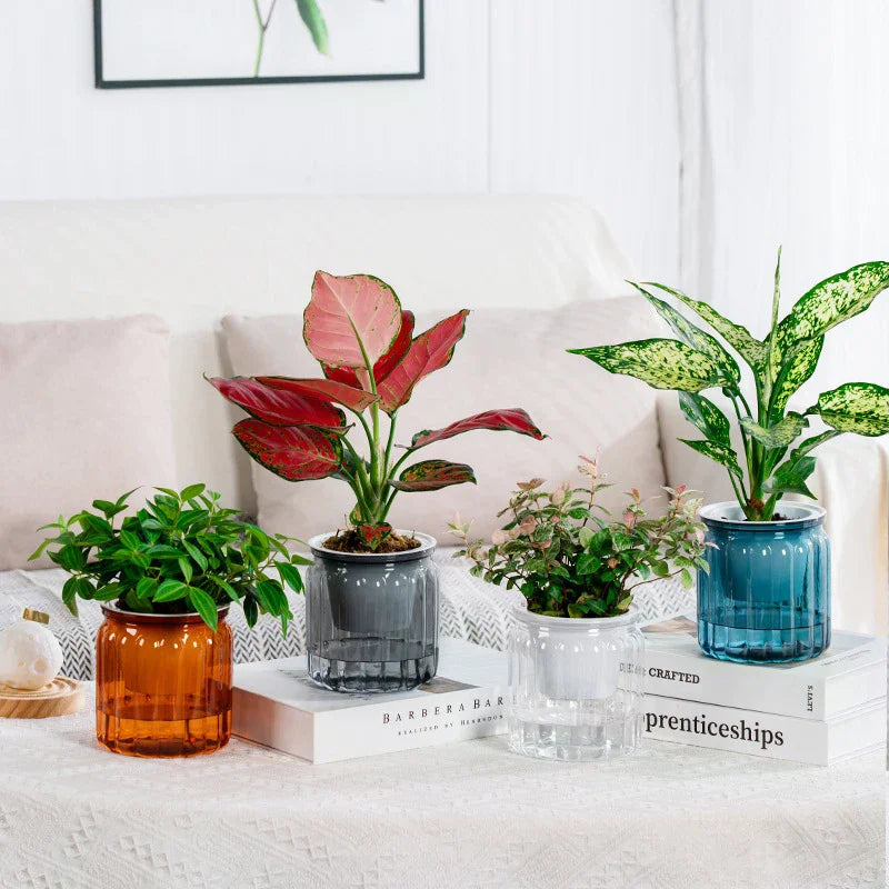 cache pot moderne couvercle bois couleur beige gris vert rouge bleu rayures verticales