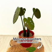 set sous verres plantes simulées monstera feuilles perforées vert foncé moderne minimaliste silicone